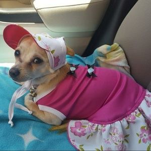 Meet your Posher, Cristina